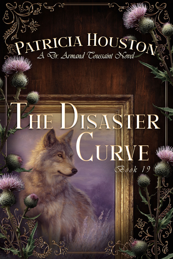 The Disaster Curve by Patricia Houston