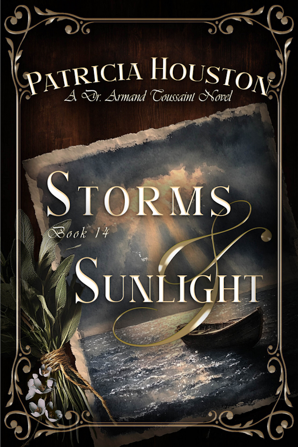 Storms and Sunlight by Patricia Houston